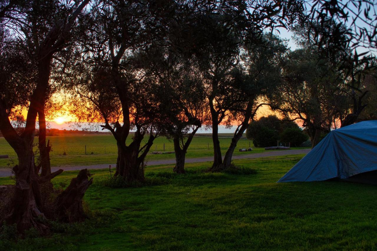Big4 Cape Jervis Accommodation & Caravan Park Exteriör bild